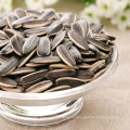 Inner Mongolia hot sell health food certification sunflower seeds 363